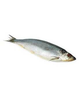 Salted Herring 1 piece