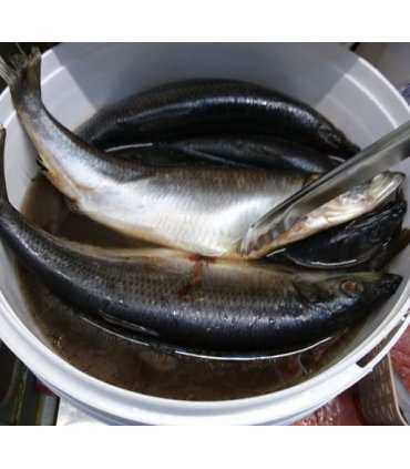 Salted Herring 1 piece