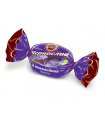 Chocolate Covered Prune 100g