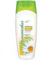 Chamomile Shampoo For All Hair Types