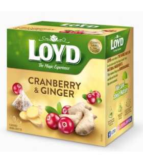 Loyd Cranberry & Ginger Fruit Tea 40g